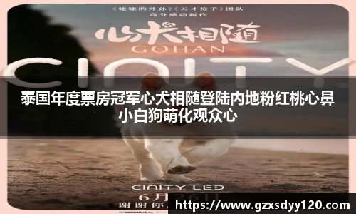 泰国年度票房冠军心犬相随登陆内地粉红桃心鼻小白狗萌化观众心