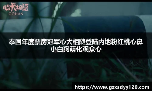 泰国年度票房冠军心犬相随登陆内地粉红桃心鼻小白狗萌化观众心