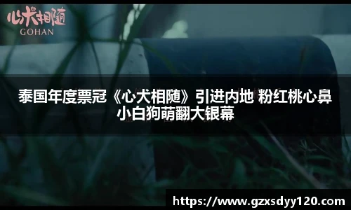 泰国年度票冠《心犬相随》引进内地 粉红桃心鼻小白狗萌翻大银幕